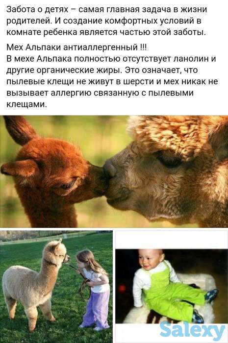 Ковры из шерсти Альпака, фотография 4