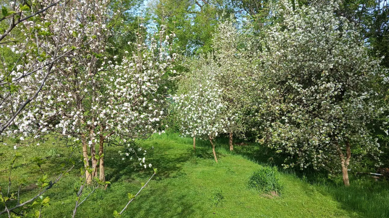 Загородний дом-дача, фотография 4