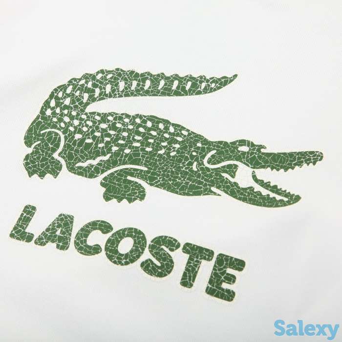 Хлопковая толстовка lacoste, фотография 3