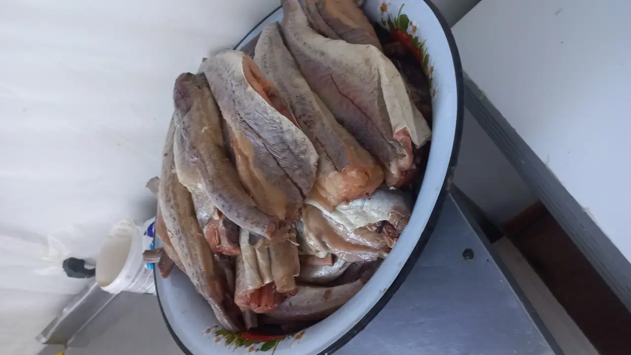 Срочно вахтой только с билетами на помошника повара в женск друж колектив, фотография 4