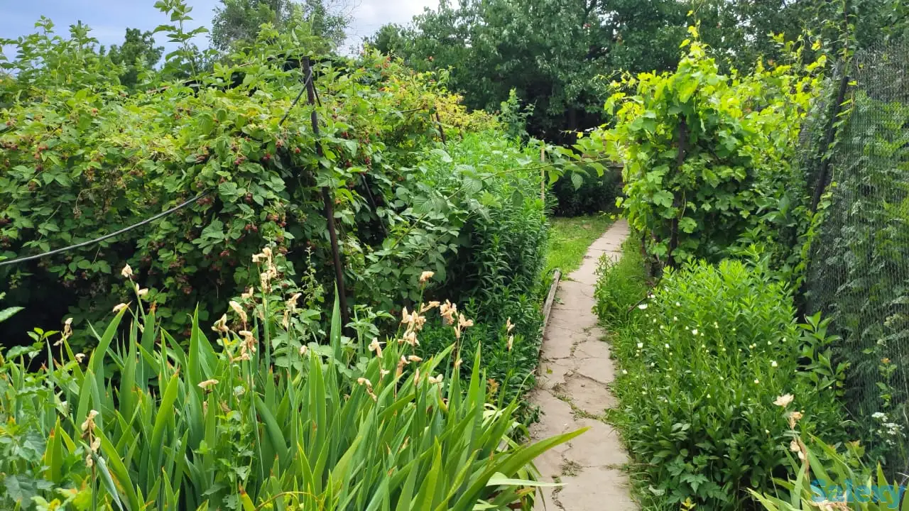 Дача 15 соток, Алматинская область, Талгарский район, с.о. Кендалинский, с. Кендала, с/т Медик-, фотография 18