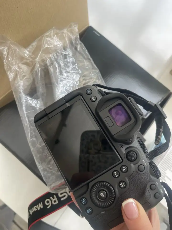 Беззеркальная камера Canon EOS R6 Mark II, фотография 4