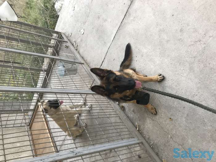 Услуги Охраны, фотография 3