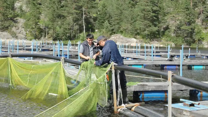 Сетка садок для рыбоводство, фотография 3