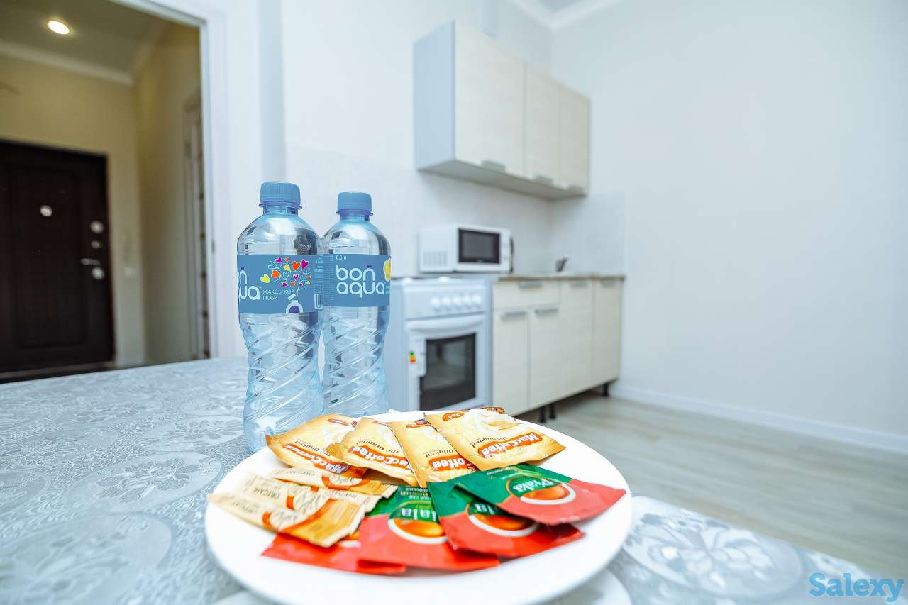 1 комнатная по ул Кабанбай батыра, ЖК Алматау, фотография 8