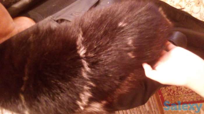 Плащ женские ,очень модный, фотография 4