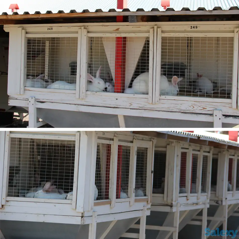 Комплекс оборудования по выращиванию кроликов, переработке продукции кролиководства, фотография 1