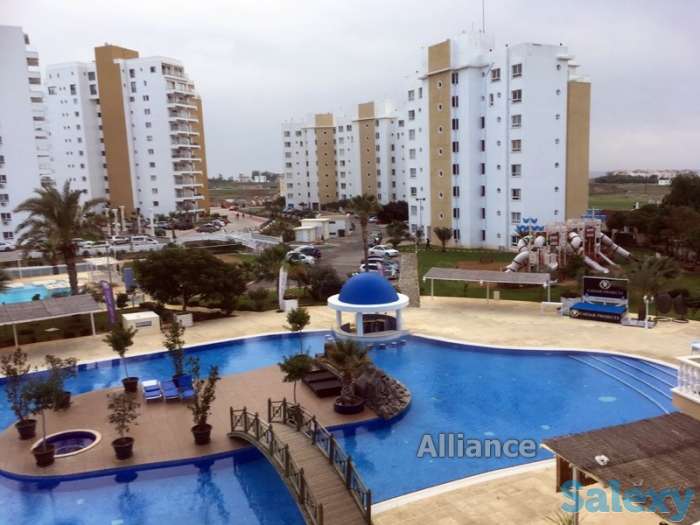 Квартиры на море, в 600 метрах  от пляжа, фотография 1