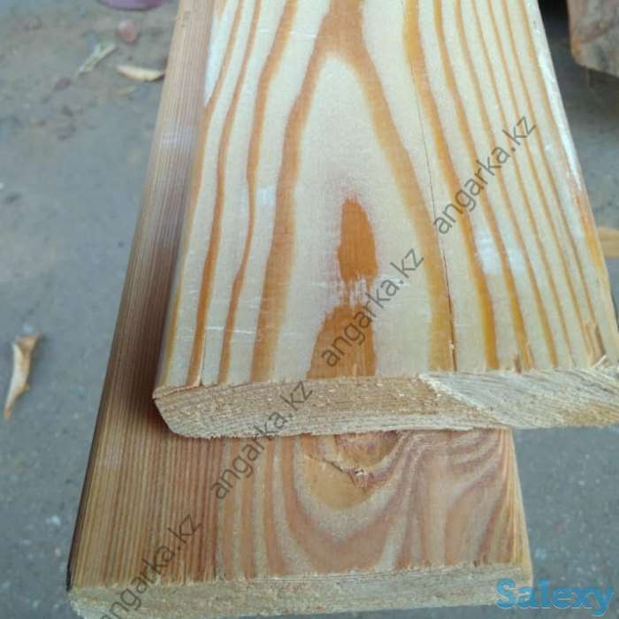 Планкен прямой, фотография 1