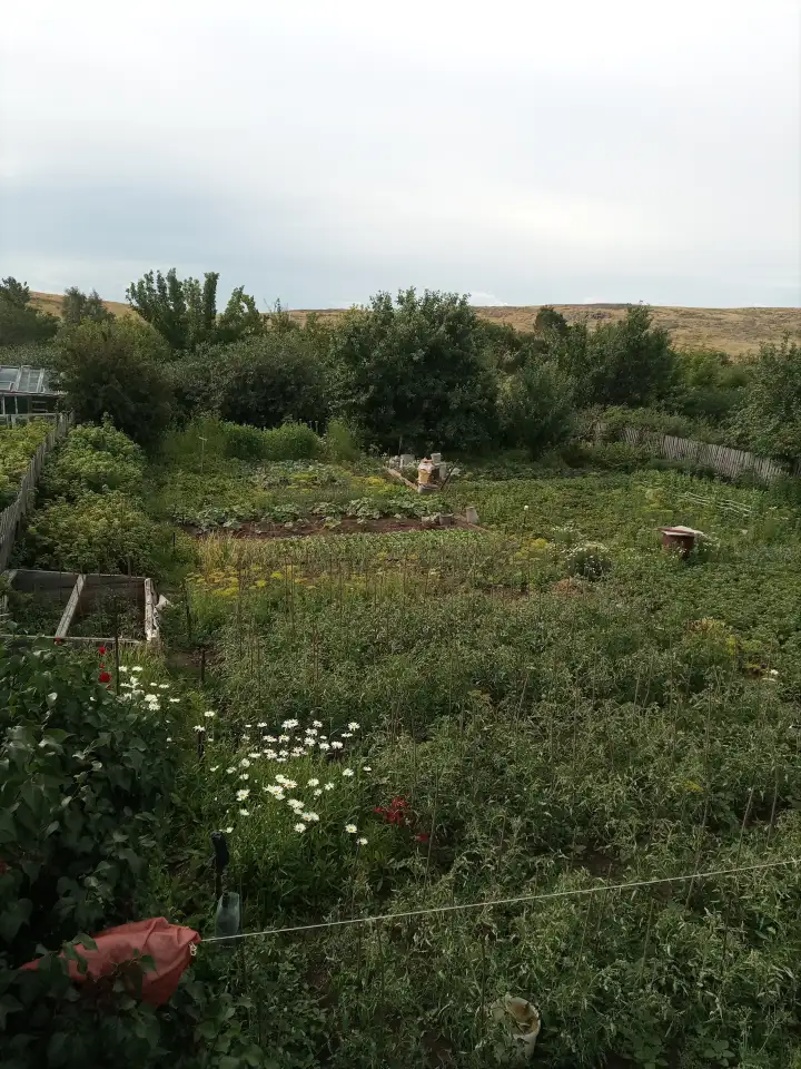 Продаю дачу, фотография 1