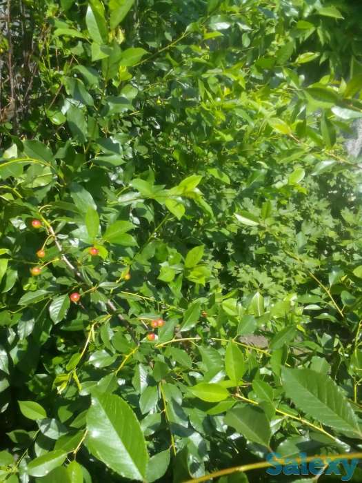 2х этажный дом в живописном месте России, фотография 8