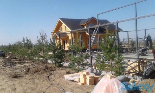 Посадка деревьев, фотография 2