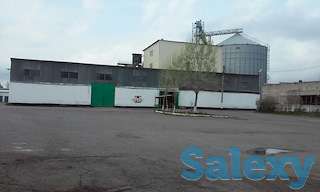 Мукомольный комплекс с элеватором.Новый.Срочно., фотография 2