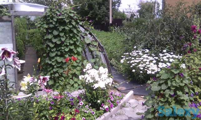 Продам Дом, район им. Казыбек би пер. Хвойный дом 19, фотография 10