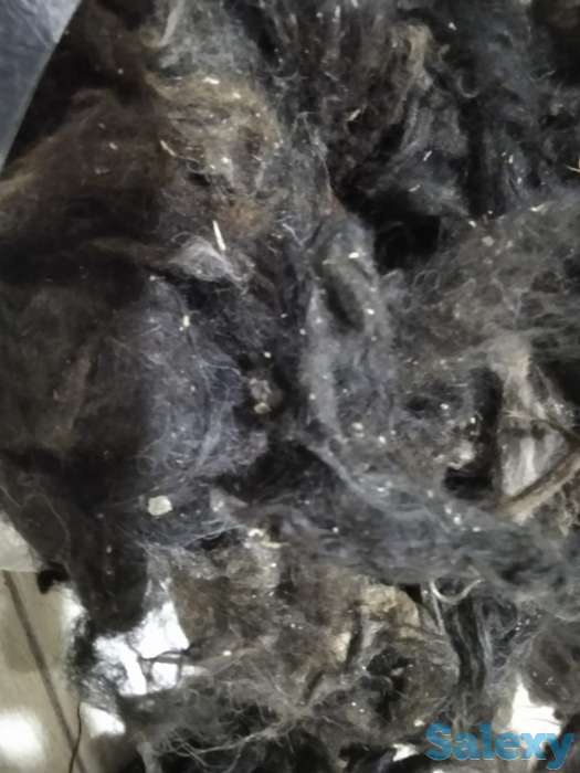 Продажа шерсть овечья, фотография 1