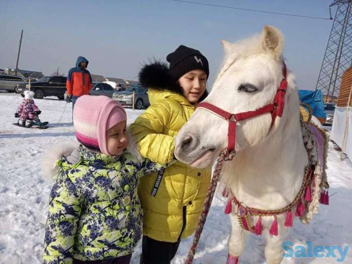 катание на санях, фотография 9