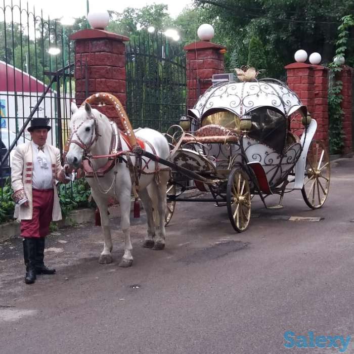 свидание в карете, фотография 1