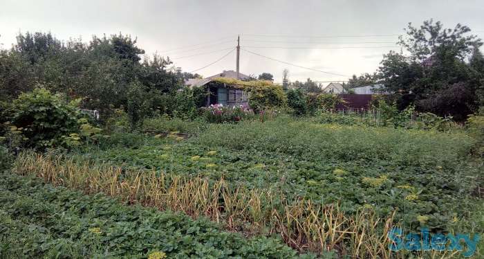 Дача в Асане ( Березка), фотография 2