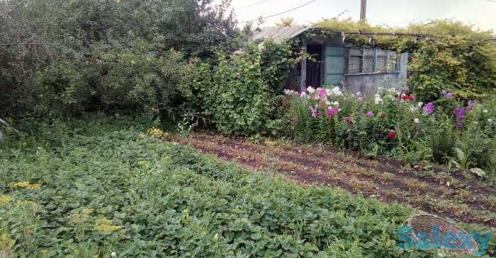 Дача в Асане ( Березка), фотография 3