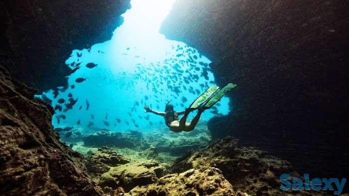 Дайвинг-тур на Красное море, Дахаб. Сентябрь 2019, фотография 5