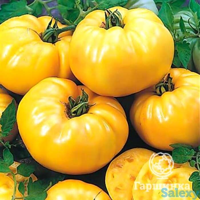 Семена Томат Гигант лимонный 20 шт, фотография 1