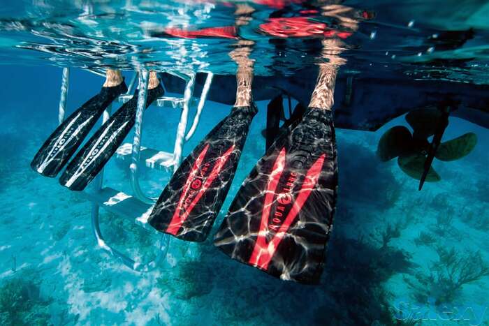 Ласты экспресс white artic, фотография 1