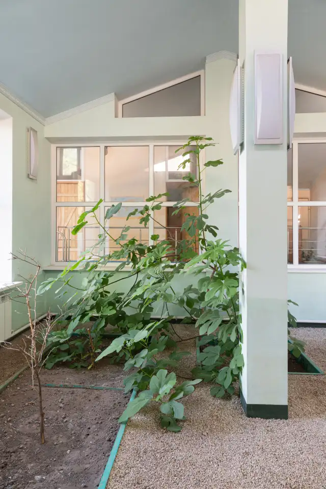 Продам дачу мечты, Шамалган, Шамалганские дачи, фотография 4