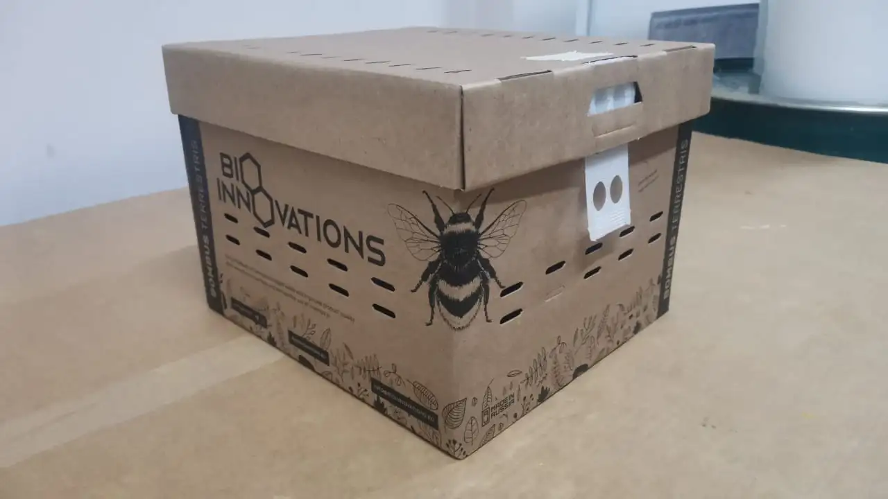 Шмелиная семья БиоИнновации Стандарт. Для опыления растений., фотография 6