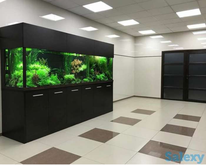 Аквариум изготовление в Алматы, фотография 1