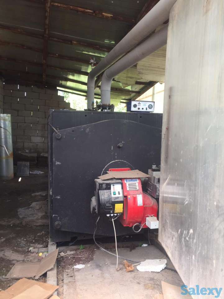 Теплица с выручкой от 6 млн. тенге в месяц!, фотография 4