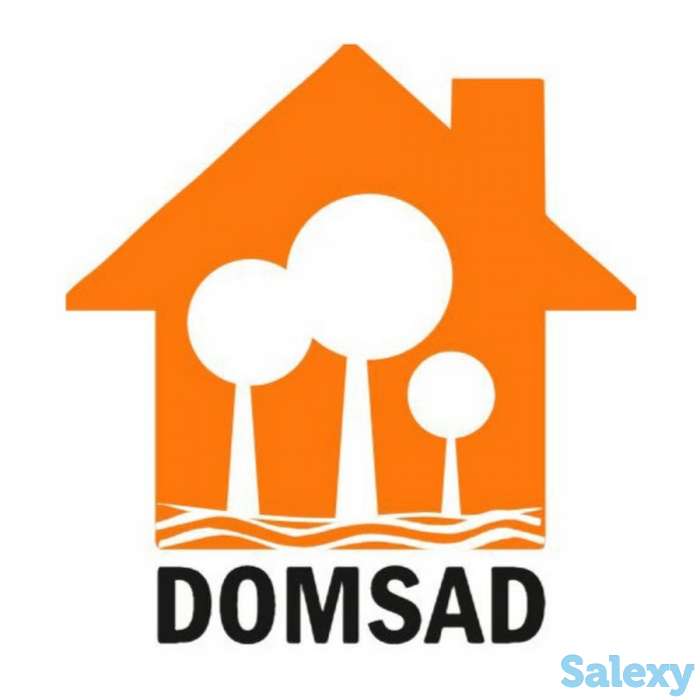 Пеший курьер в магазин, фотография 1