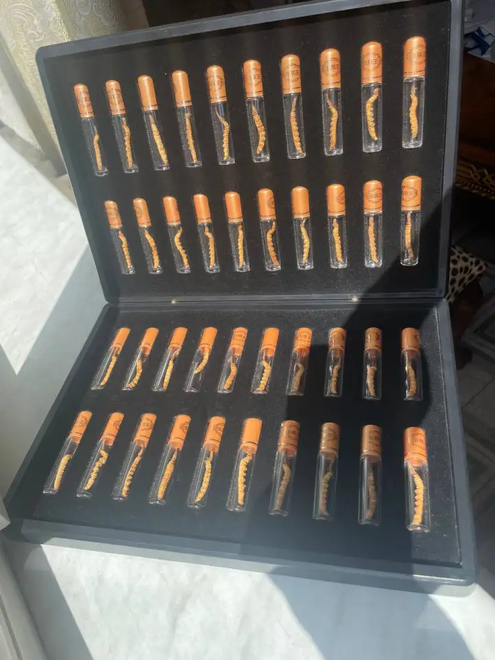 Кордицепс Синенсис 10гр, фотография 1