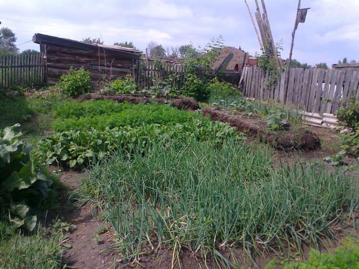 Продам Дом село Урумкай от Щучинска 35км, фотография 6