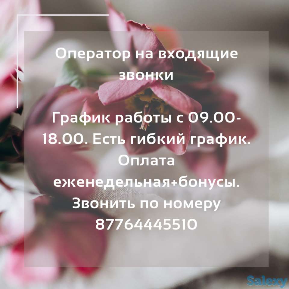 Оператор, фотография 1