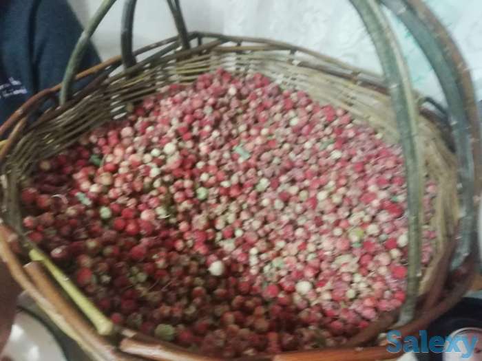 Продажа дома в Оренбургской области, Оренбургская область, Тюльганский район, село Нововасильевка, фотография 8