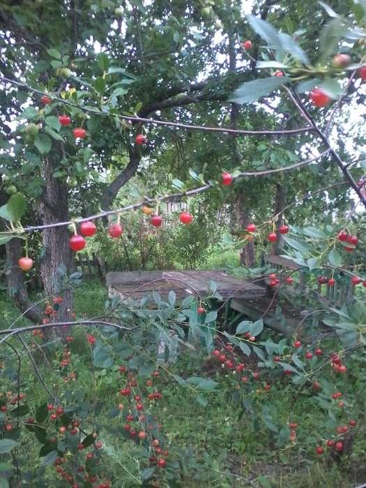 Продам Дом село Урумкай от Щучинска 35км, фотография 2