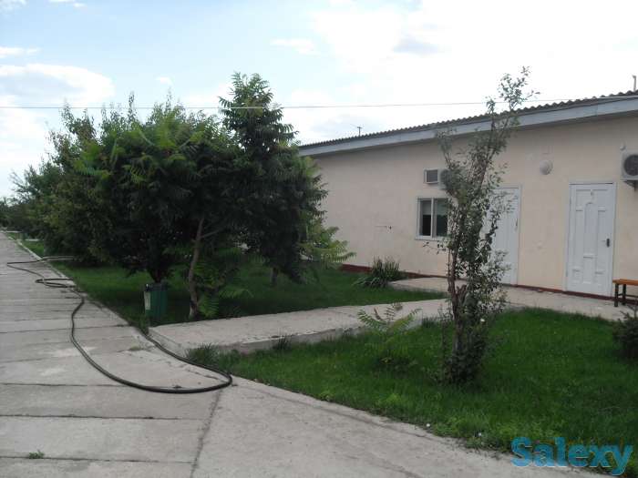 Отдых на озере Алаколь, фотография 3