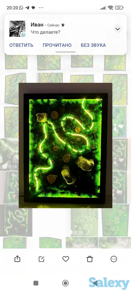 Картина из стабилизированного мха, фотография 1