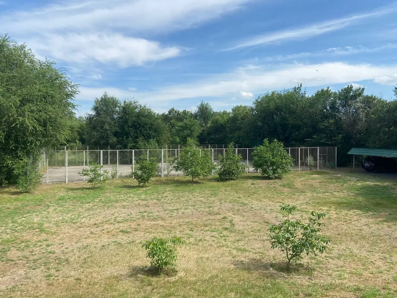 Участок на берегу Дона, Волгодонск, ул. Лодочная 1, фотография 6