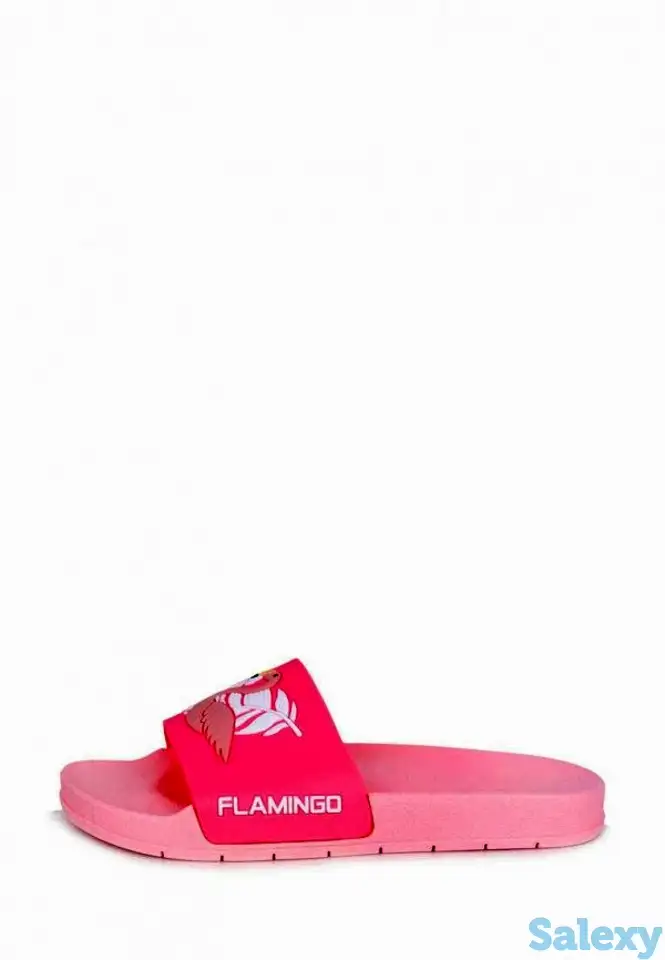 Сланцы t.taccardi, фотография 1