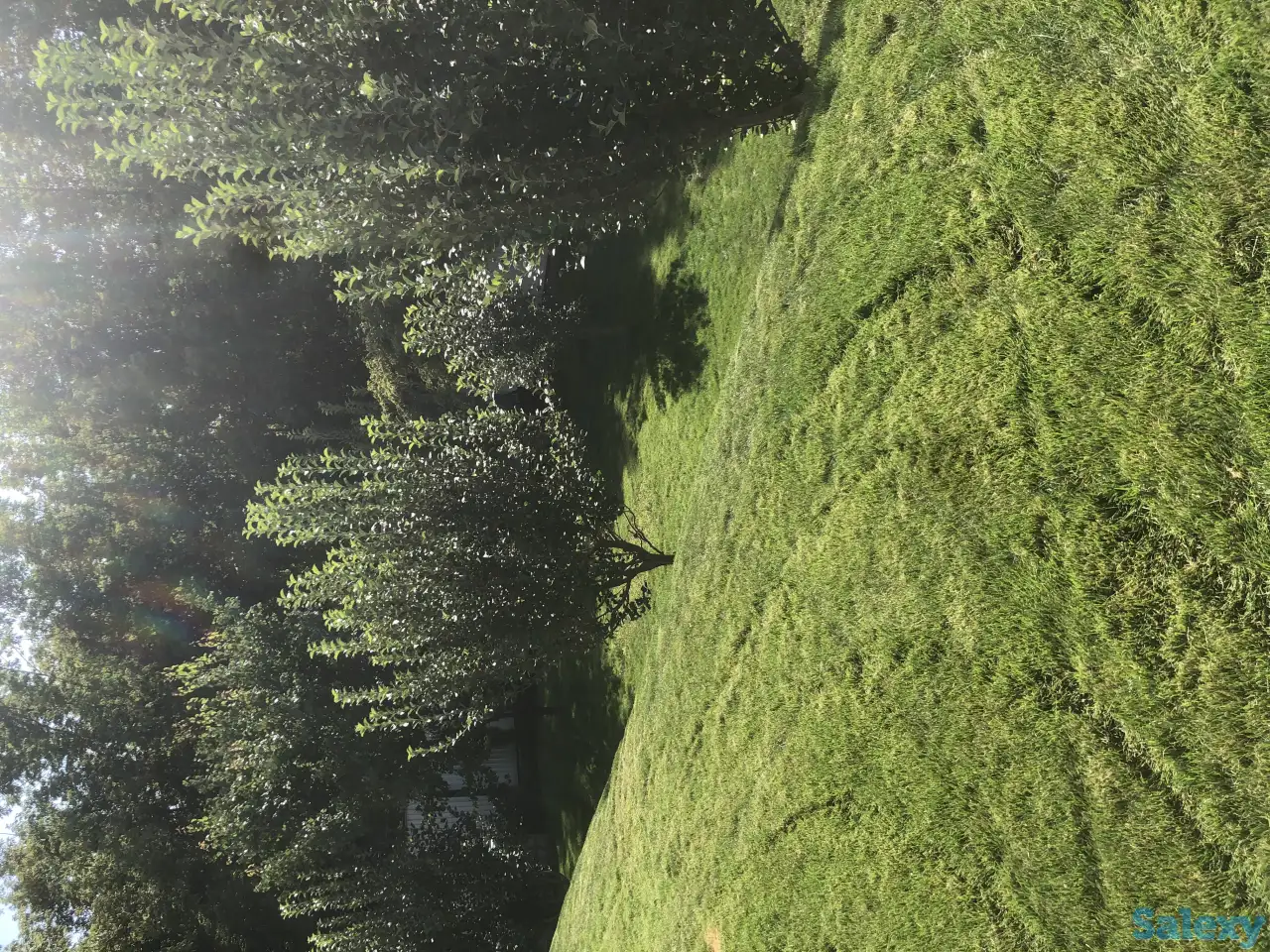 Озеленение, автополив под ключ, фотография 1