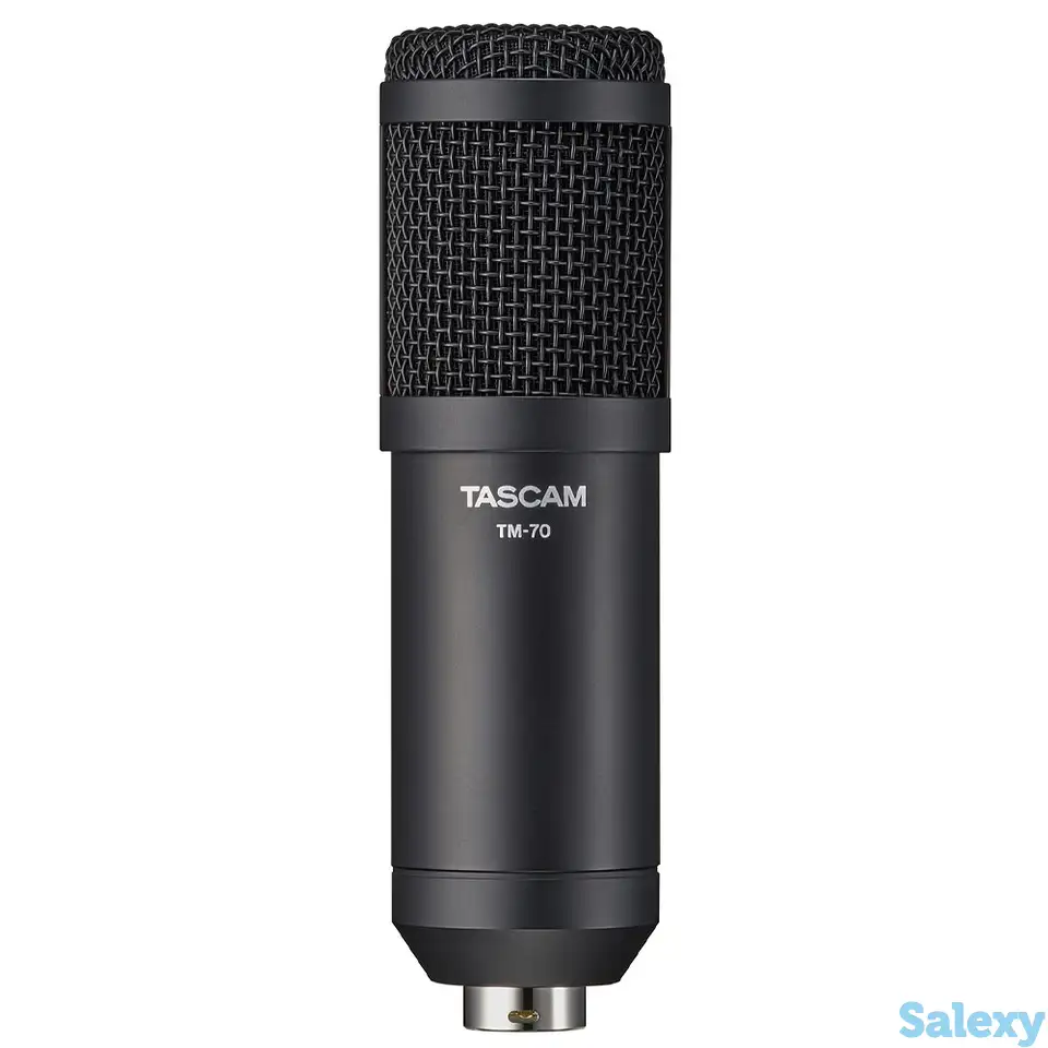 Студийный микрофон tascam tm-70, фотография 1