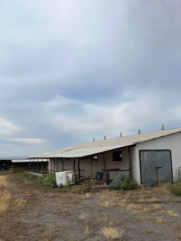 Фазенда, фотография 5