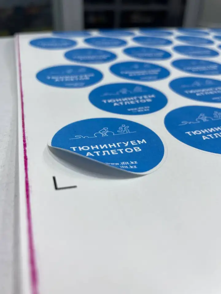 Полиграфия, рекламная продукция, распечатка, копия, фотография 5