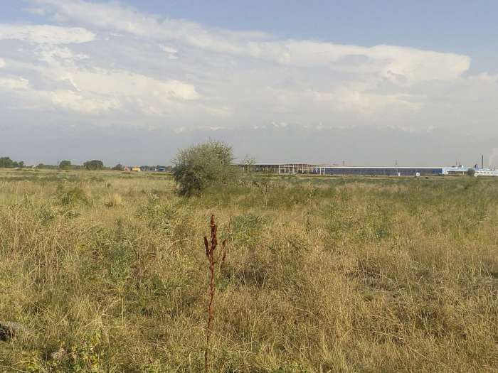 Продажа зем.участков для ведение товарного сельского хозяйства (КХ) в пос. , фотография 1