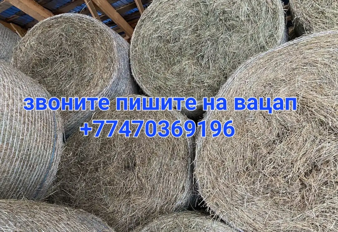 Сено рулоны 300-320 кг, фотография 1