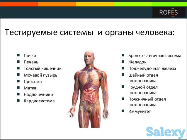 японский аппарат Rofes. функциональное тестирование  организма, фотография 2