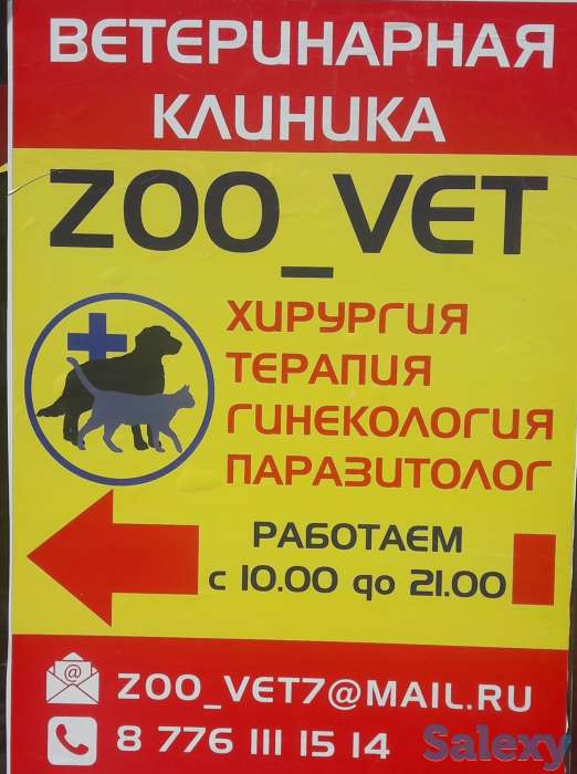 Ветеринар на выезд, фотография 1