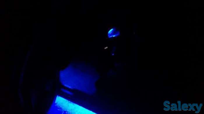 Продам Honda, фотография 1