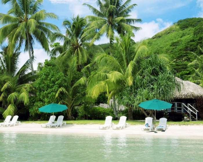 IT. компании пребуются сотрудники, фотография 1